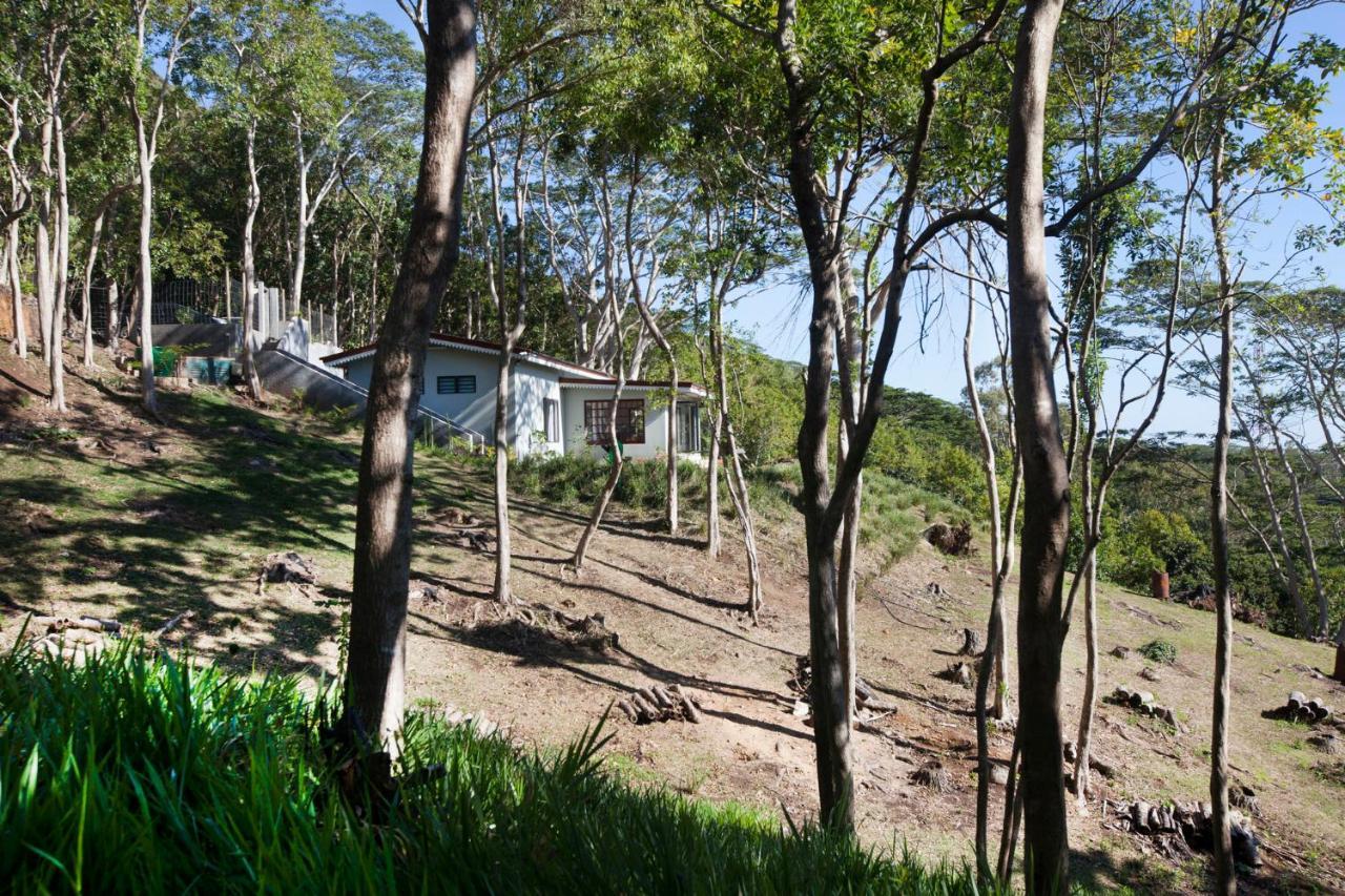 Green Cottage Chamarel Bagian luar foto