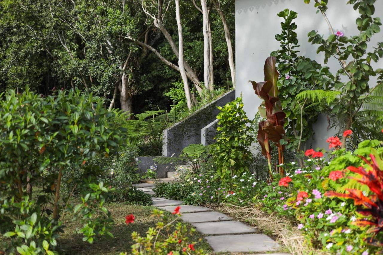 Green Cottage Chamarel Bagian luar foto