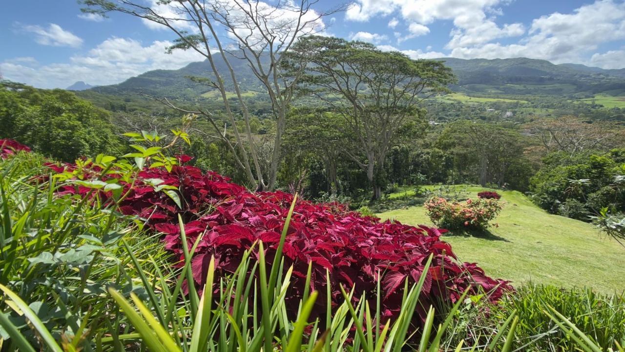 Green Cottage Chamarel Bagian luar foto