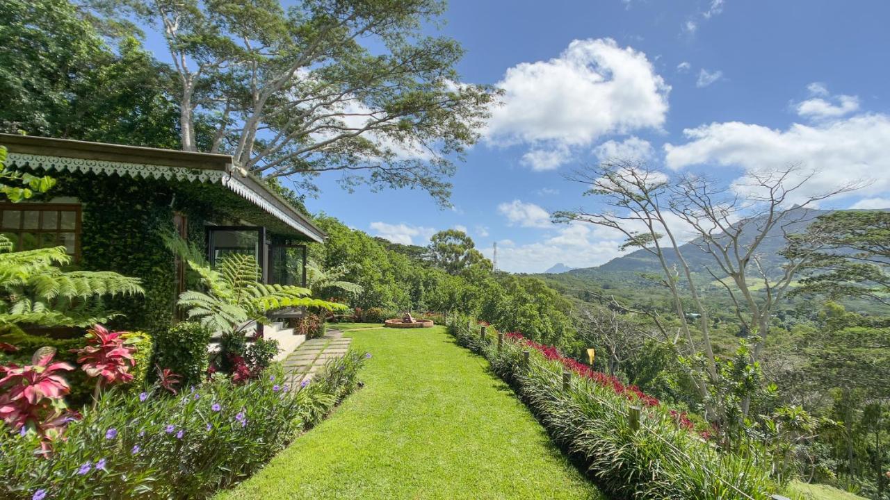 Green Cottage Chamarel Bagian luar foto