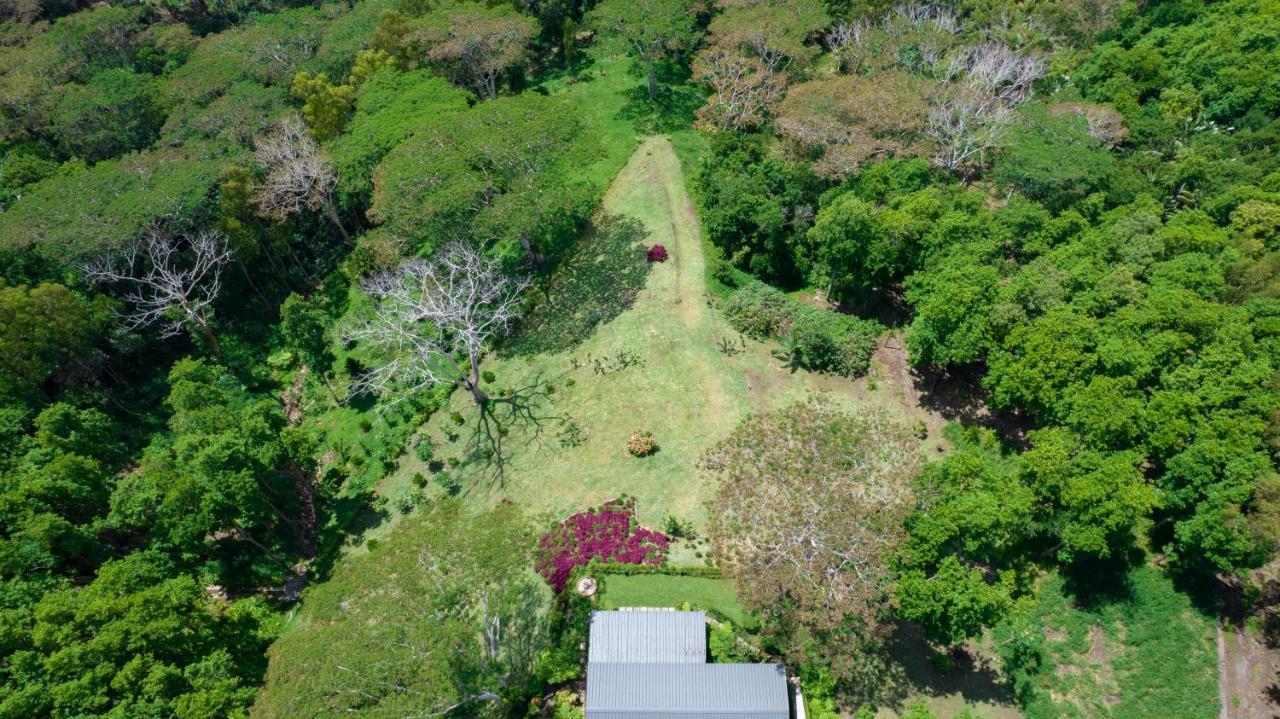 Green Cottage Chamarel Bagian luar foto