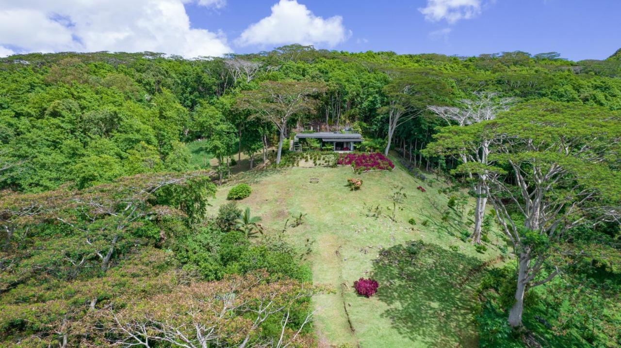 Green Cottage Chamarel Bagian luar foto