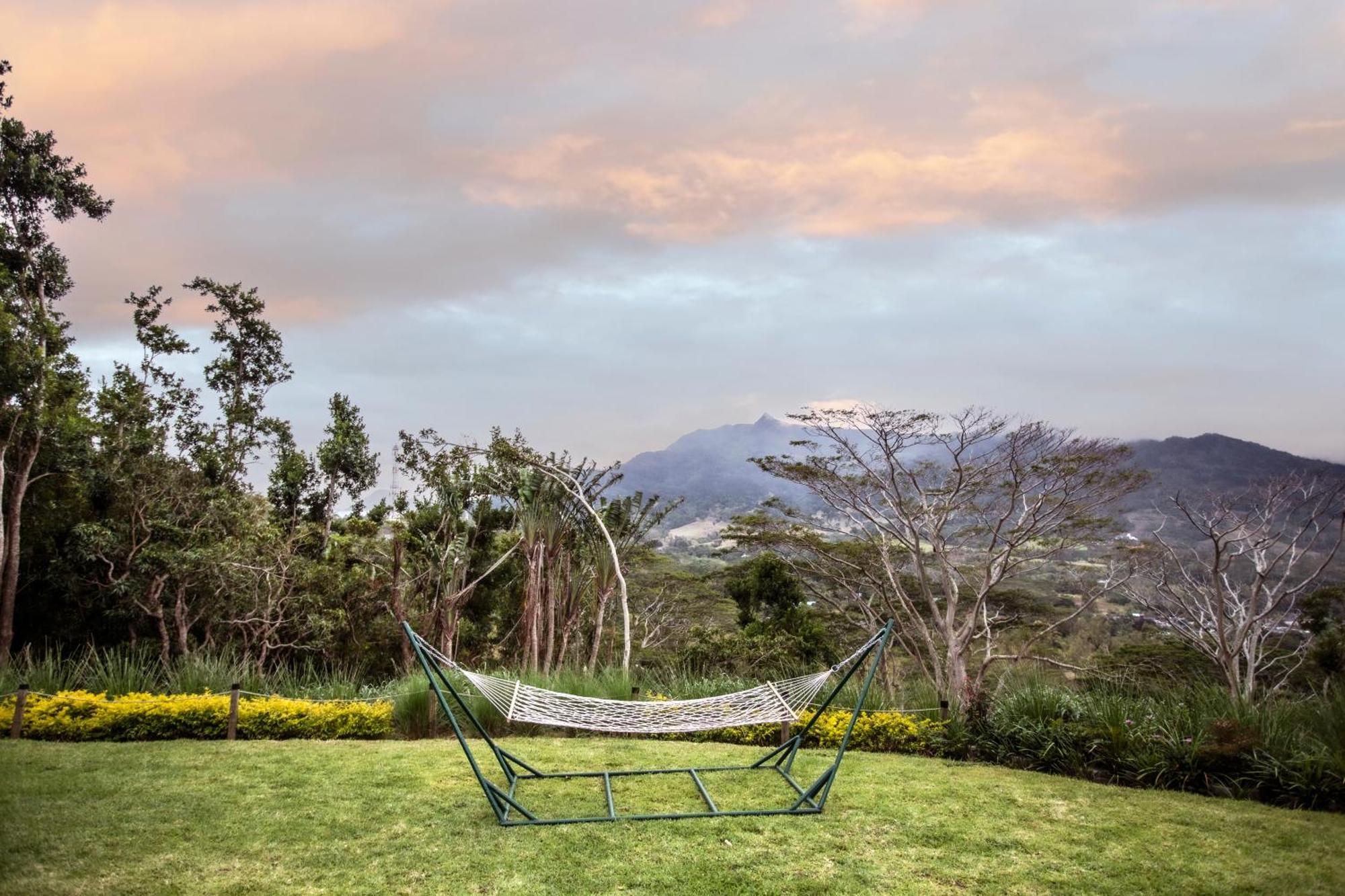 Green Cottage Chamarel Bagian luar foto