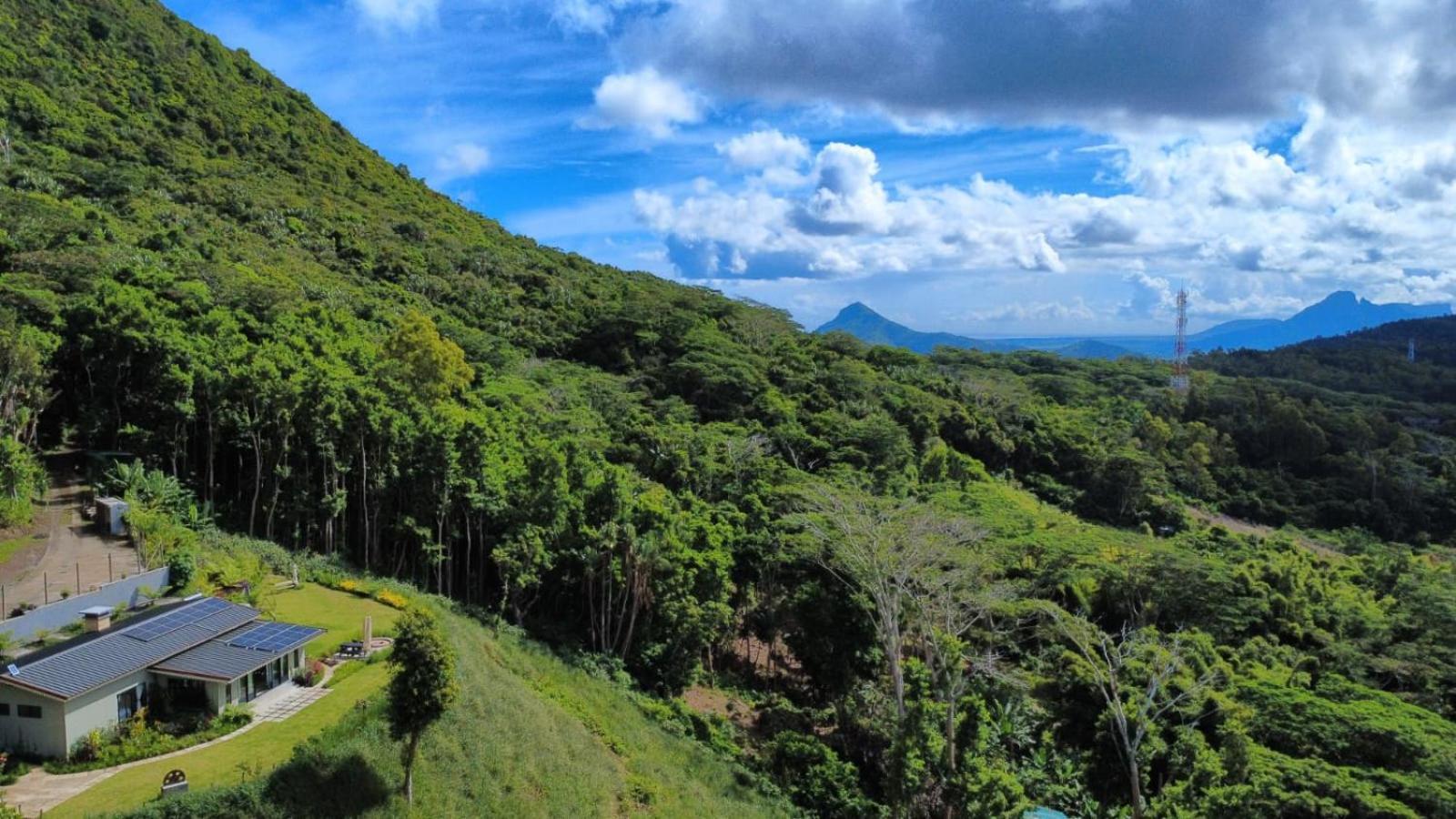 Green Cottage Chamarel Bagian luar foto